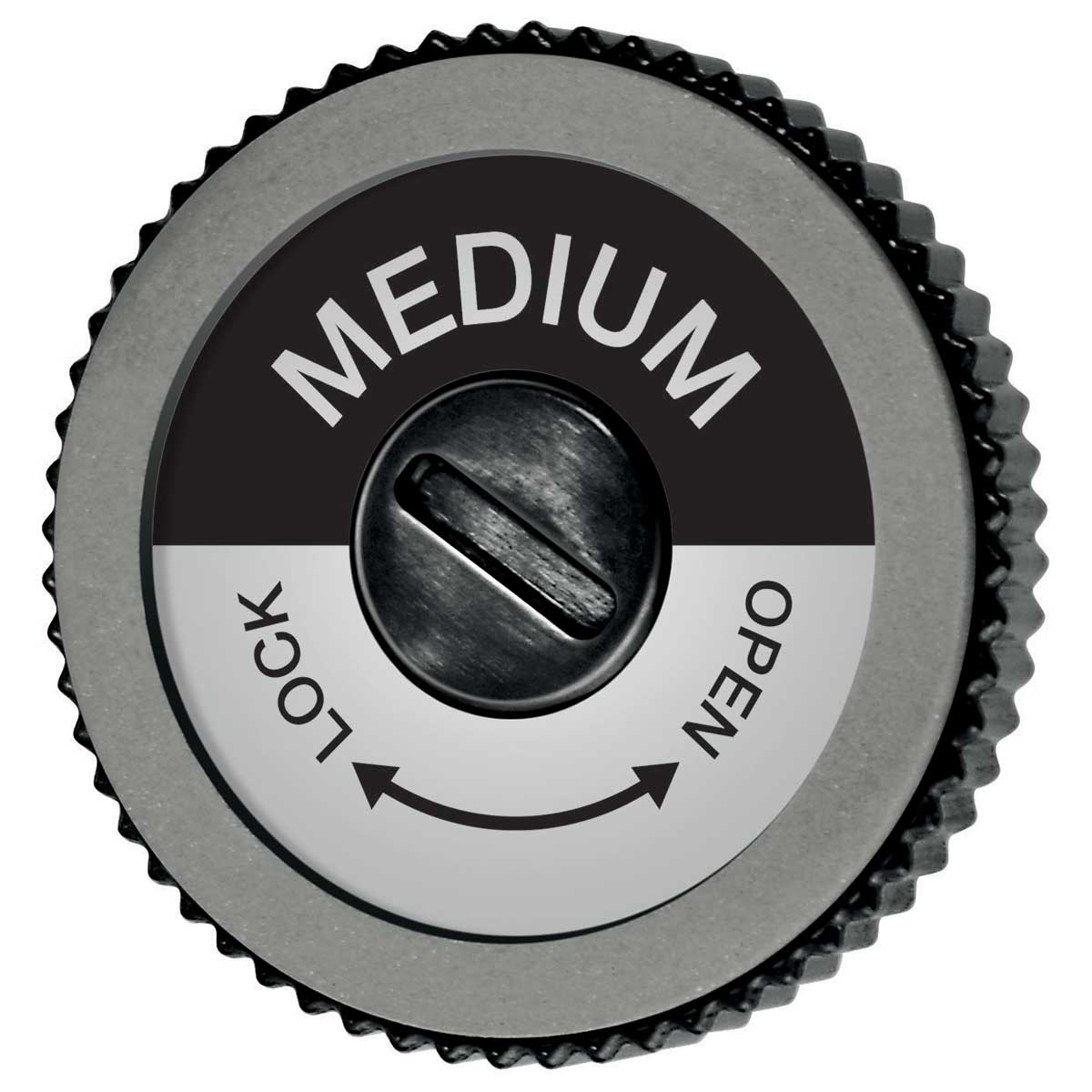 Swix EVO Spare Disc in Medium